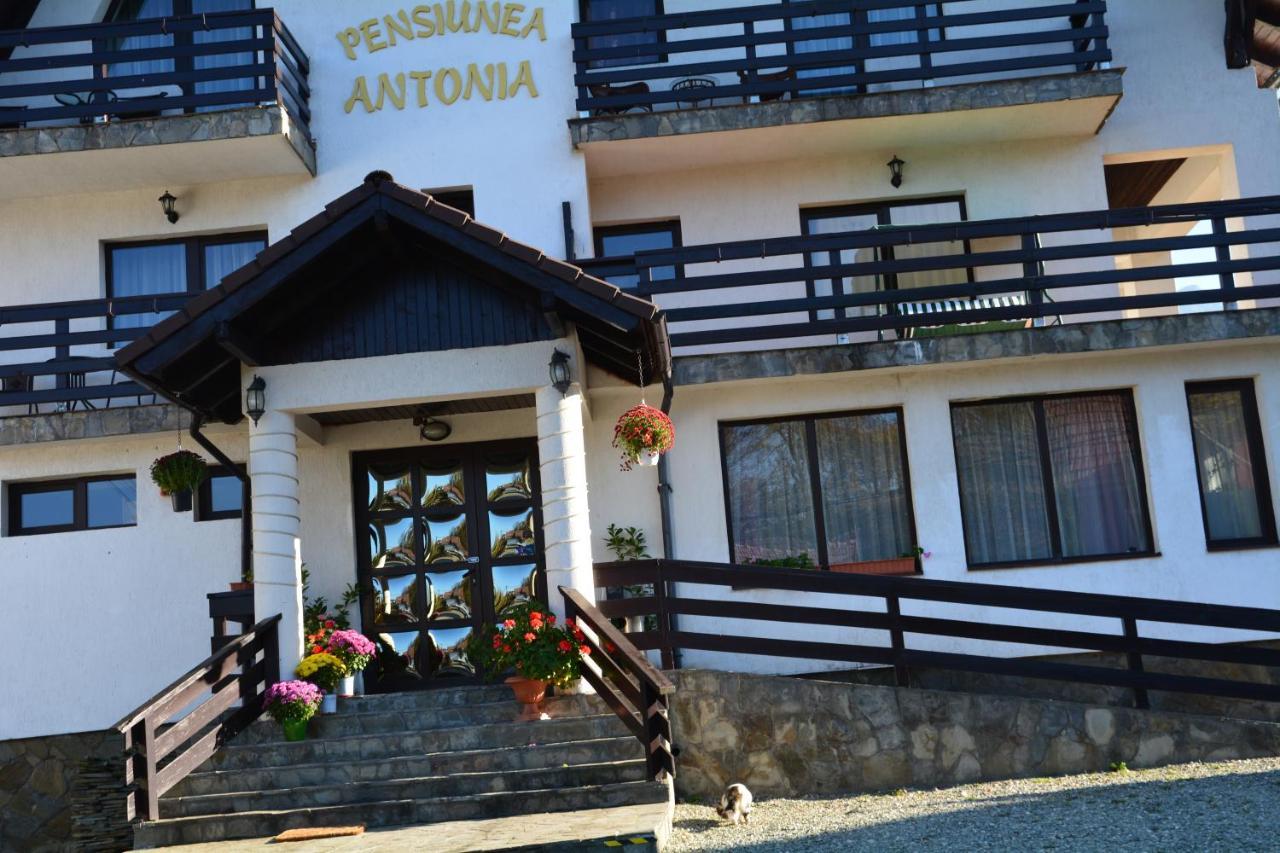 Pensiunea Antonia Bran  Ngoại thất bức ảnh